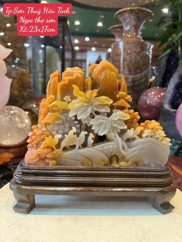 cây tài lộc