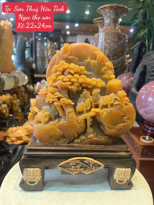 cây tài lộc